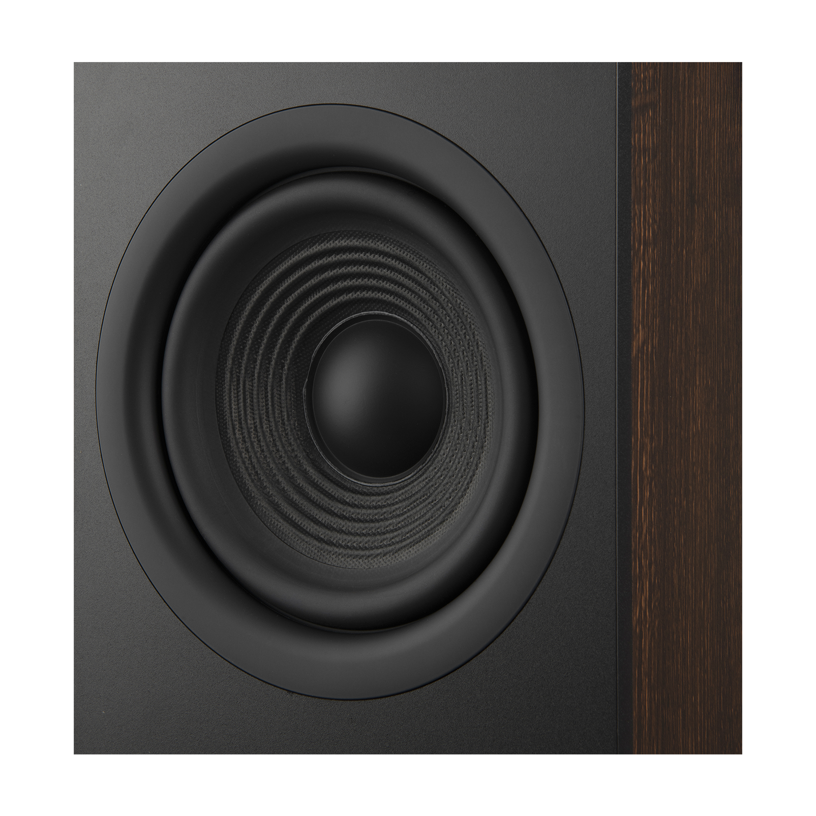 Stage 260F - Espresso - 2.5-Way Dual 6.5-inch (165mm) Floorstanding Loudspeaker - Detailshot 5